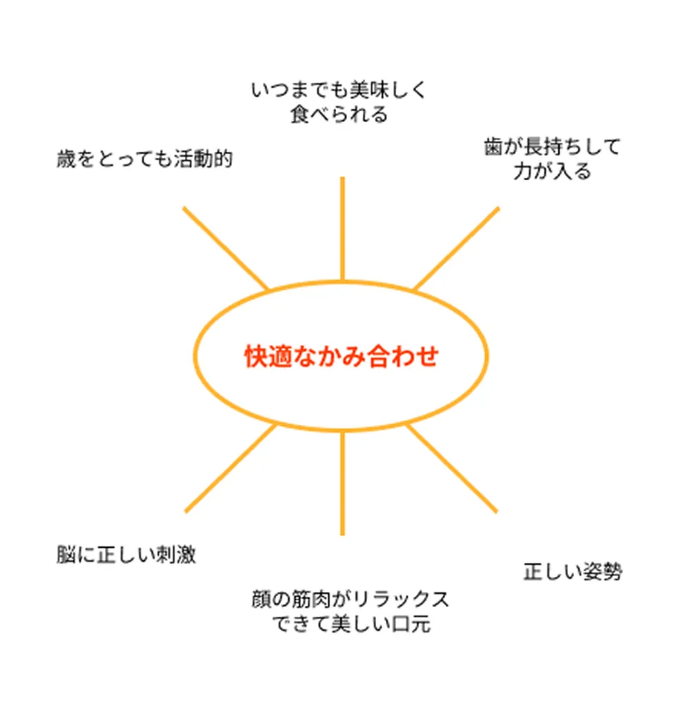 快適な噛み合わせのメリット 歳をとっても活動的 いつまでも美味しく食べられる 歯が長持ちして力が入る 脳に正しい刺激 顔の筋肉がリラックスできて美しい口元 正しい姿勢